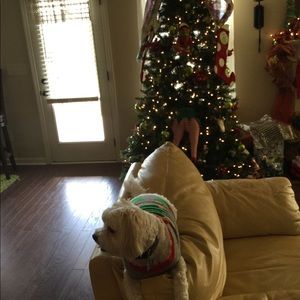 Welcome to my closet!!!👗👔👕👖👚👢👠👞👡👟